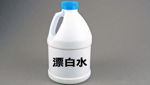 家中有寵物，如何選擇環(huán)境清潔及消毒用品？這3種消毒用品一定要注意